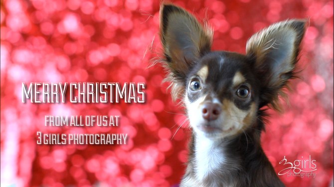 christmaspeace_screenshot